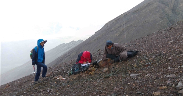 地調(diào)公司簡介