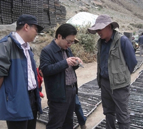 西藏仁布縣念扎金礦詳查