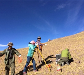 西藏多龍整裝勘查區(qū)物探勘查項(xiàng)目
