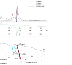 四川省鹽源縣平川鐵礦接替資源勘查項(xiàng)目