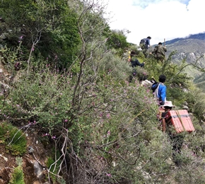 川藏公路大地電磁測(cè)量