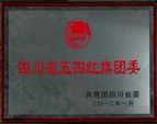 2012年四川省五四紅旗團(tuán)委