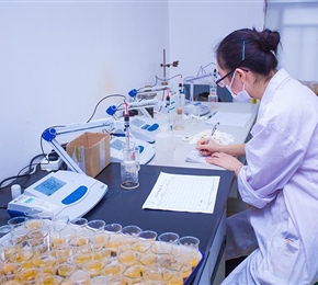 甲瑪?shù)V區(qū)地質(zhì)樣品檢測項目