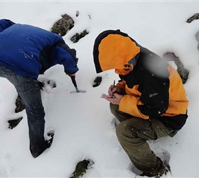 雪古拉礦調(diào)