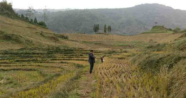 環(huán)境監(jiān)測(cè)與檢測(cè)