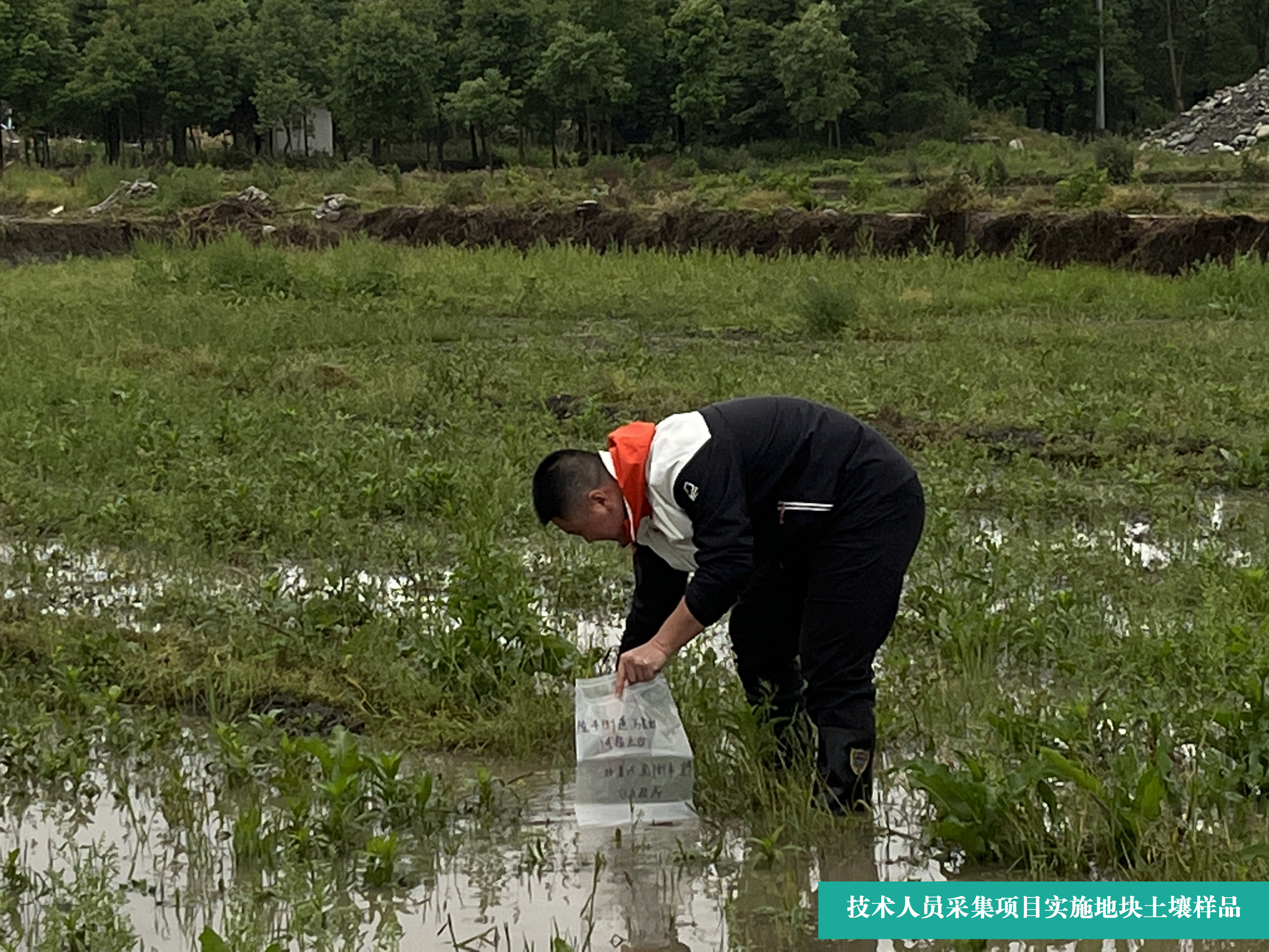 6.6新聞2 6.6新聞2