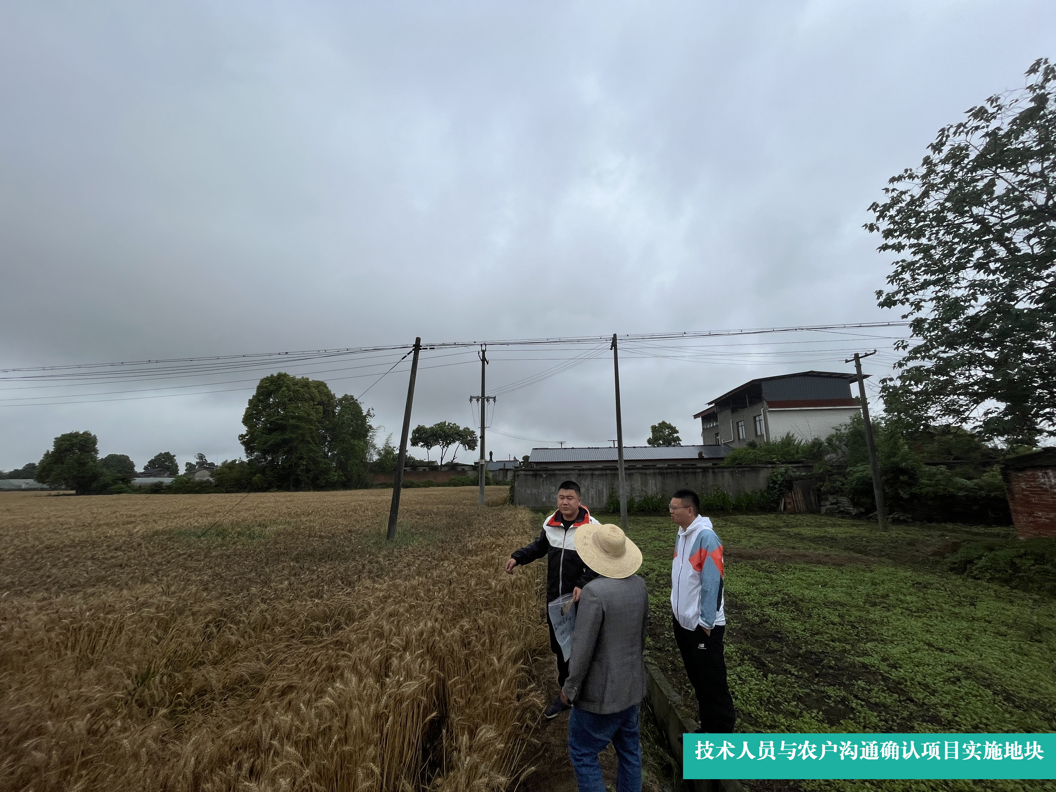 6.6新聞3 6.6新聞3